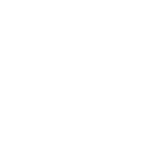 Tamara software logo